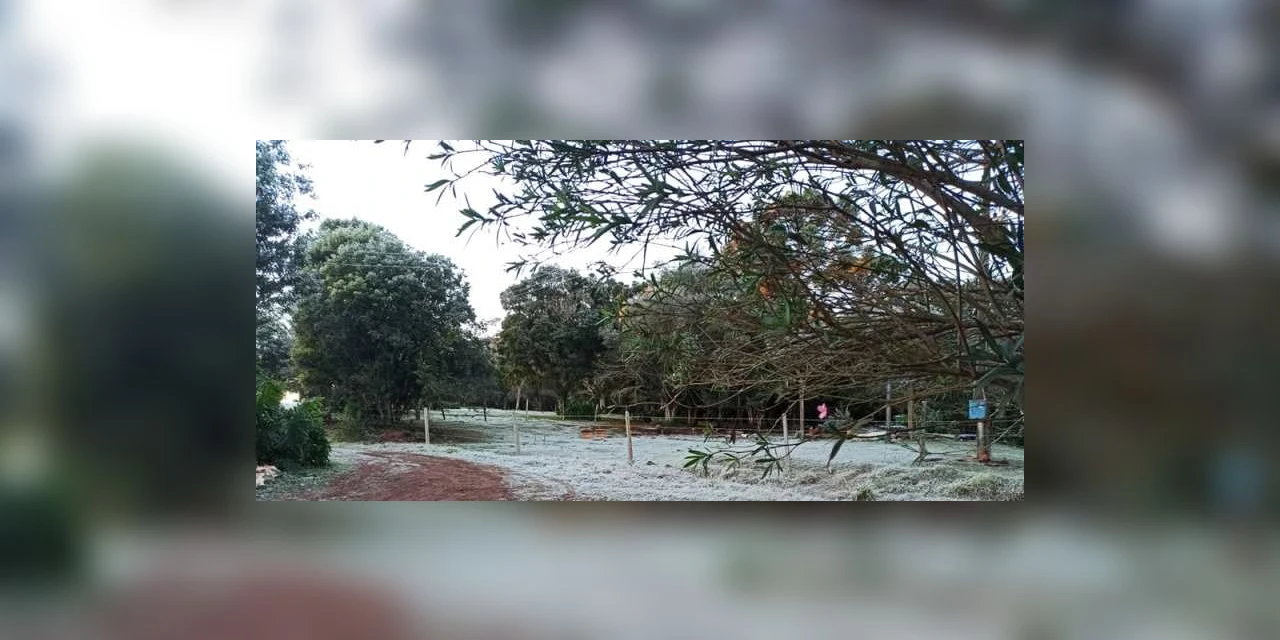 Ponta Grossa amanhece com geada e temperaturas negativas nesta quarta (30)
