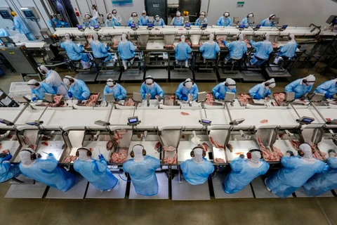 Com saldo de quase 16 mil vagas, Paraná lidera geração de empregos em maio no Sul