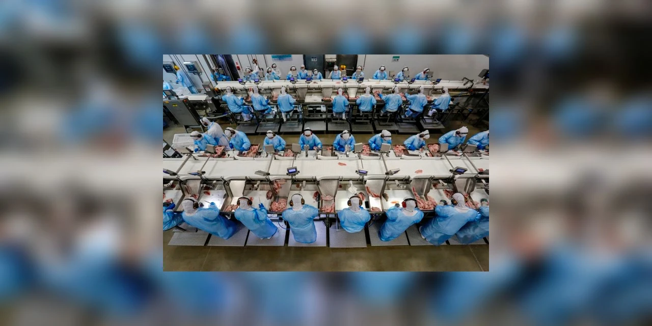 Com saldo de quase 16 mil vagas, Paraná lidera geração de empregos em maio no Sul