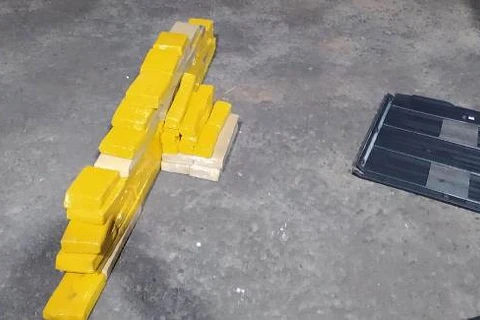 Casal é preso com quase 70 quilos de maconha em Ponta Grossa