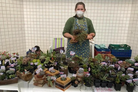 Feira Julina de suculentas será neste sábado