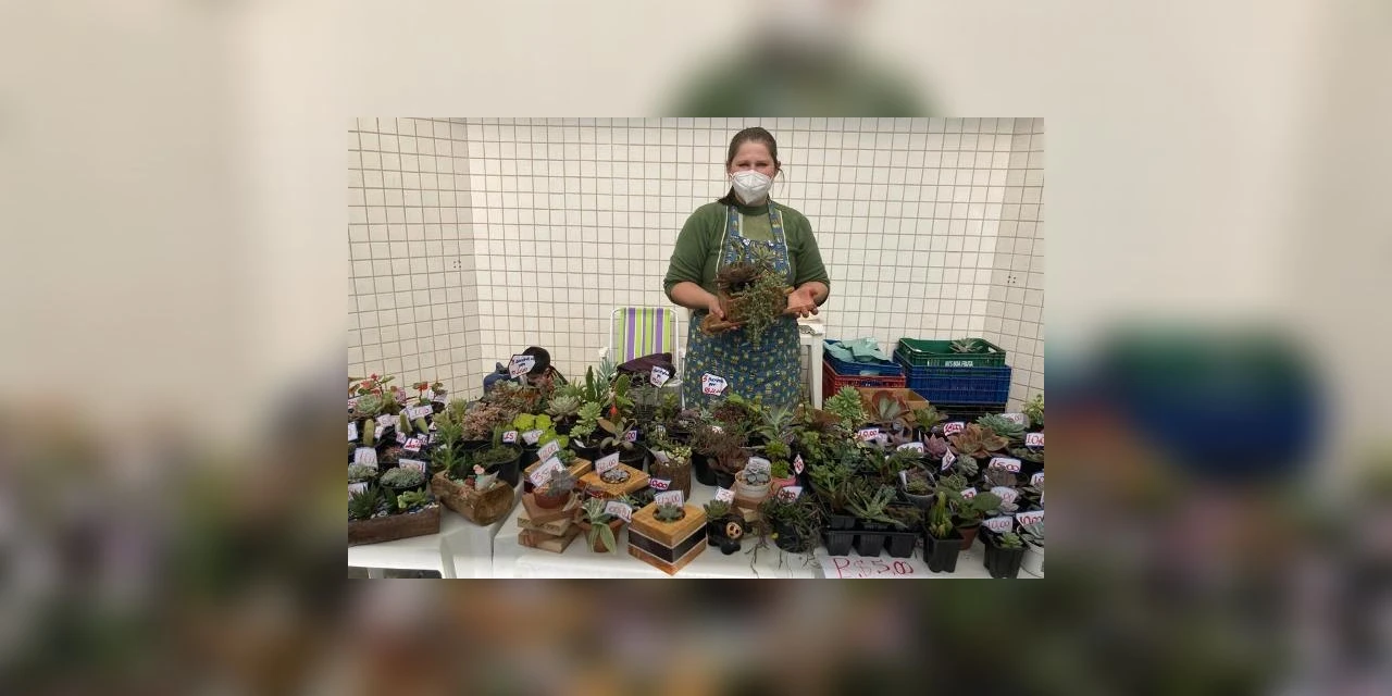 Feira Julina de suculentas será neste sábado