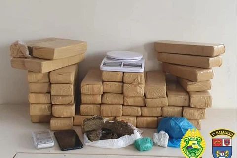 Homem é preso com mais de 20 kg de maconha em Ponta Grossa