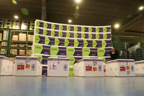 Lote com 235,5 mil vacinas contra a Covid-19 chega ao Paraná nesta quinta-feira