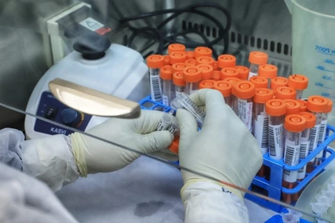 Paraná confirma mais quatro casos da variante delta na região de Curitiba