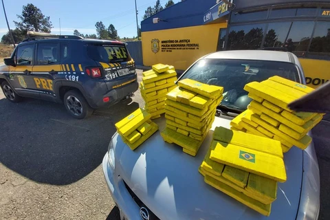 Sete pessoas são presas e quase 200 kg de maconha apreendidas no Paraná