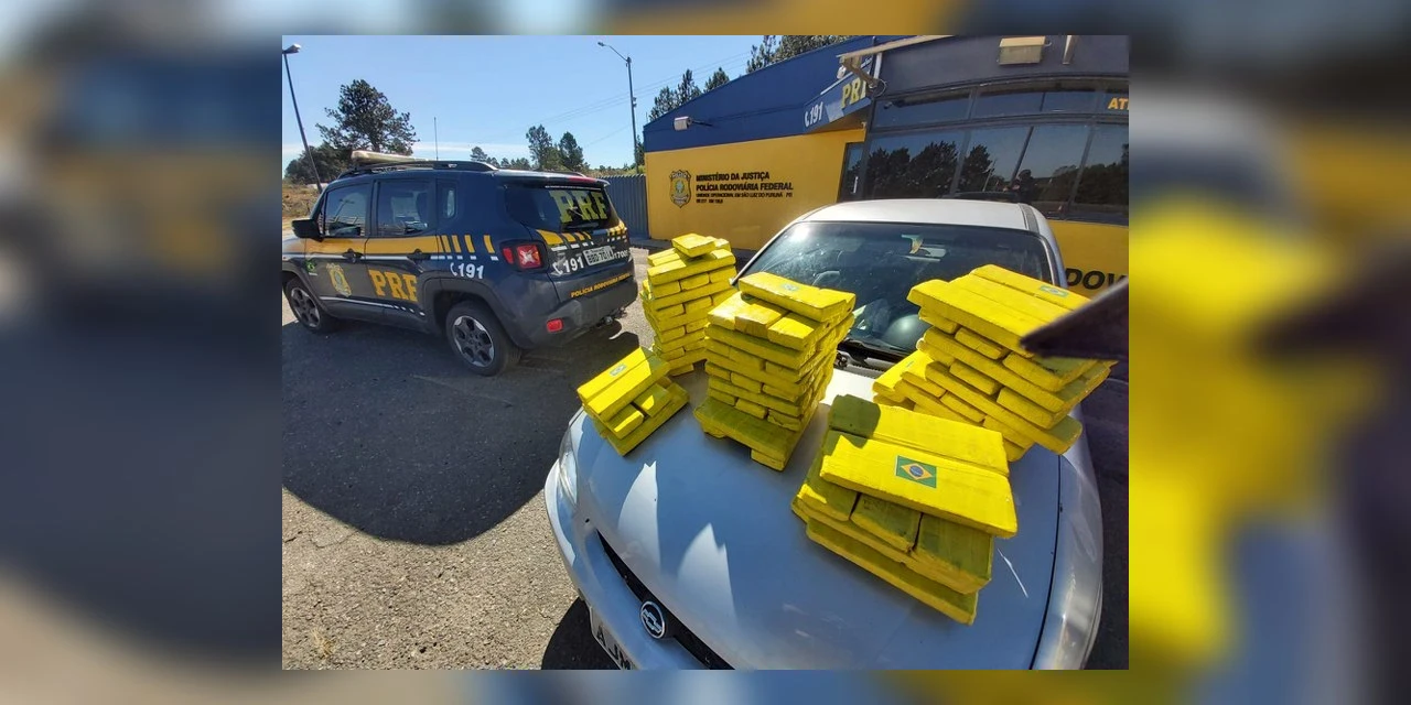 Sete pessoas são presas e quase 200 kg de maconha apreendidas no Paraná