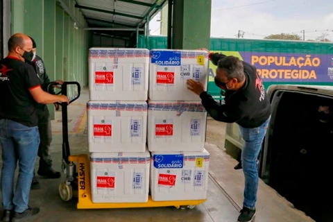 Ministério da Saúde entrega 233 mil vacinas contra a Covid-19 ao Paraná