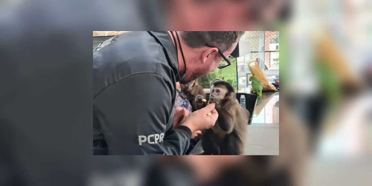 Policia Civil deflagra operação contra o tráfico de animais
