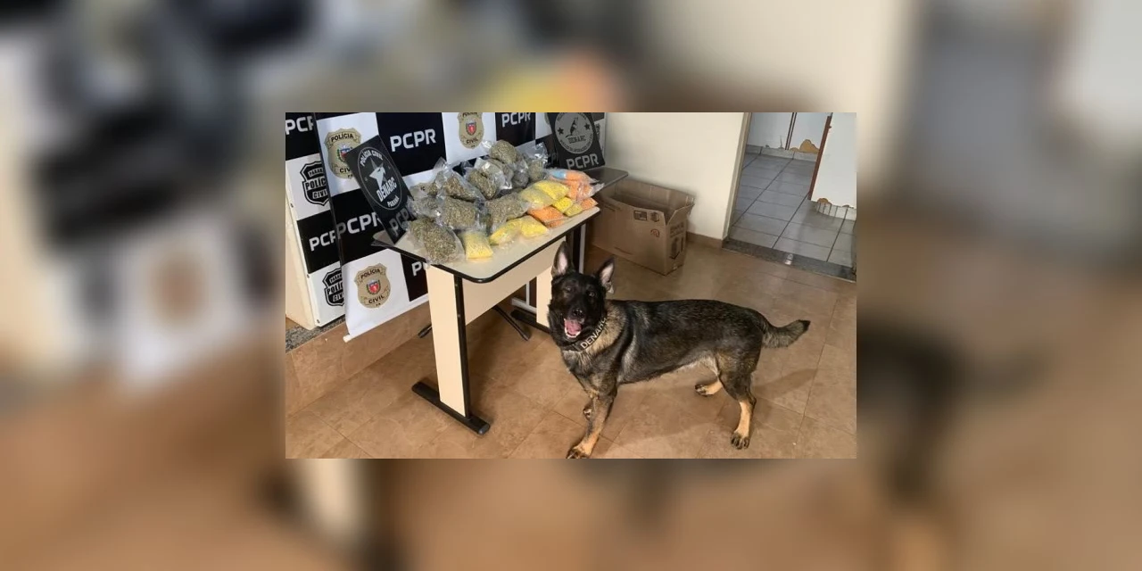 Policia Civil apreende homem com 12,5 mil comprimidos de ecstasy no Paraná