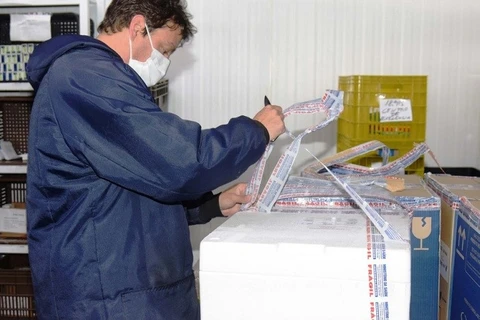 Paraná recebe doses e começa a distribuir 158,6 mil vacinas contra a Covid-19; veja divisão