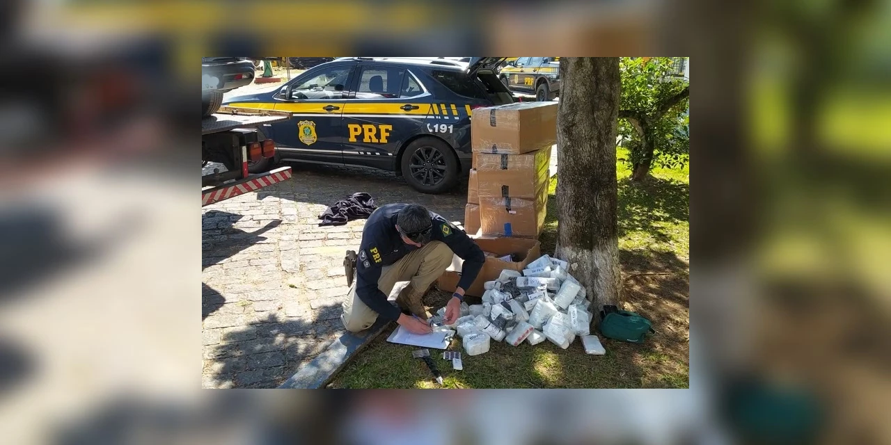 Em Palmeira, perseguição termina com homem e 300 kg de medicamentos contrabandeados apreendidos