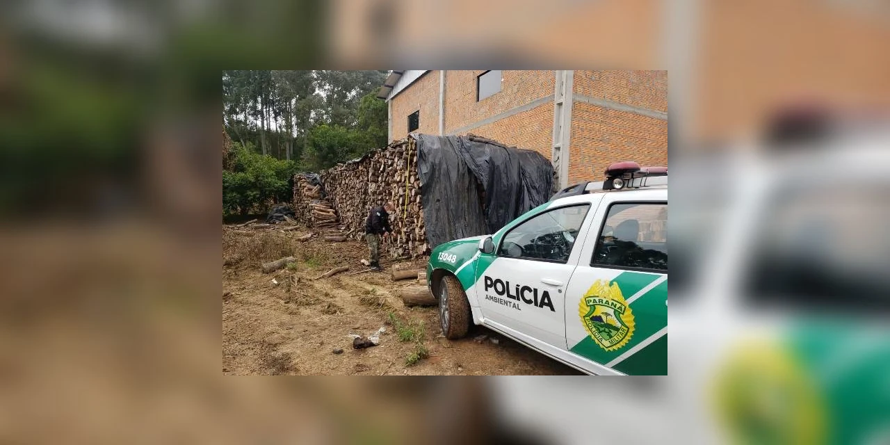 Força Verde flagra corte de mata nativa e aplica R$ 37,5 mil em multas