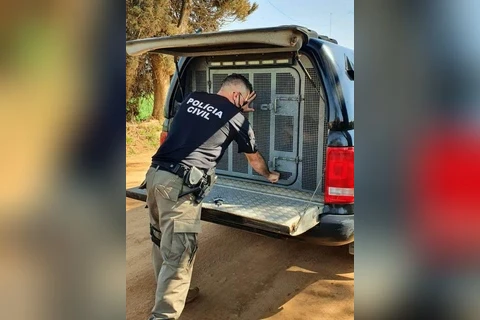 Homem condenado por estuprar a sobrinha de 10 anos é preso pela Policia Civil