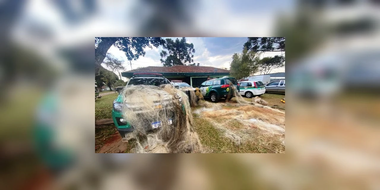 Força Verde prende 4 pessoas durante operação ‘Lobo Bravo’