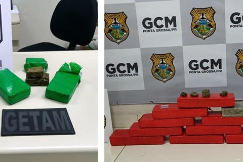 GCM apreende mais de 10 quilos de drogas no fim de semana