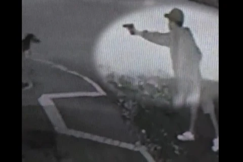 Homem saca arma e atira em cachorro; veja vídeo!