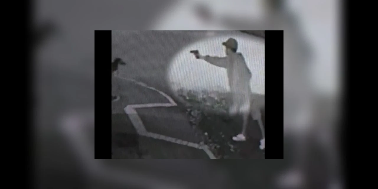 Homem saca arma e atira em cachorro; veja vídeo!