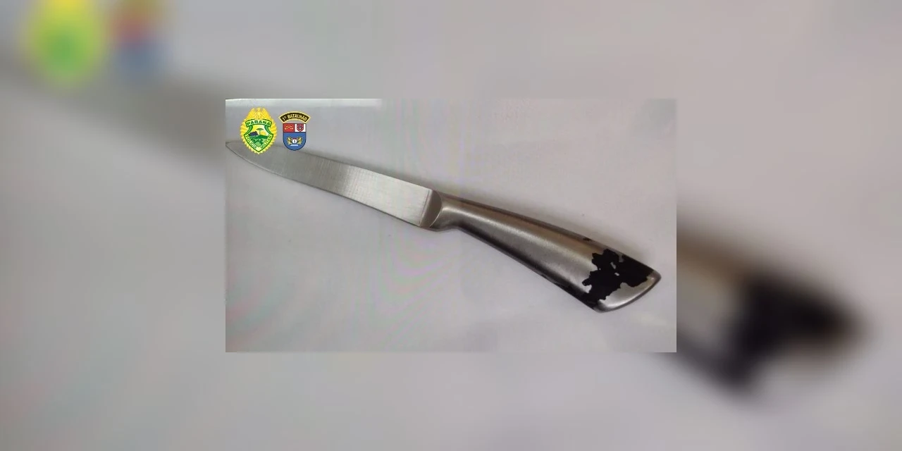 Menor apreendido com faca planejava atentado em escola de PG