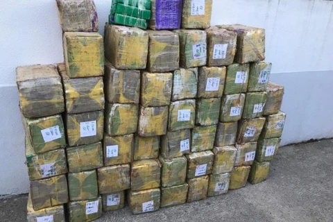 Atuação conjunta das polícias resulta em aumento na apreensão de drogas no primeiro semestre