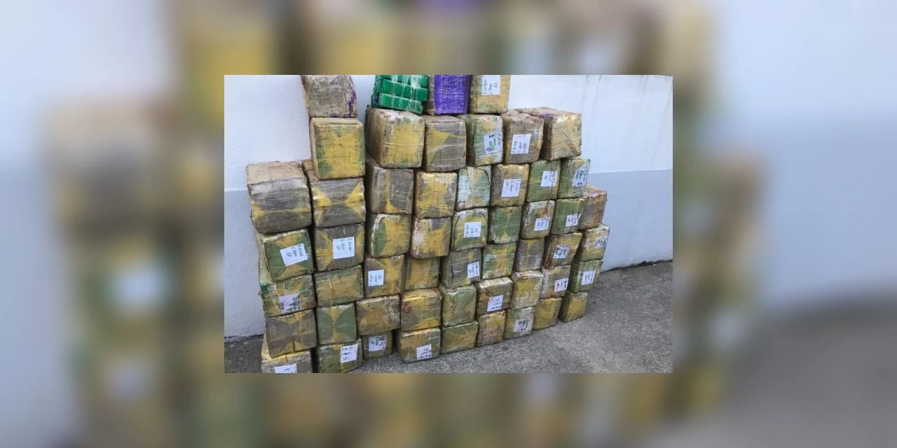 Atuação conjunta das polícias resulta em aumento na apreensão de drogas no primeiro semestre