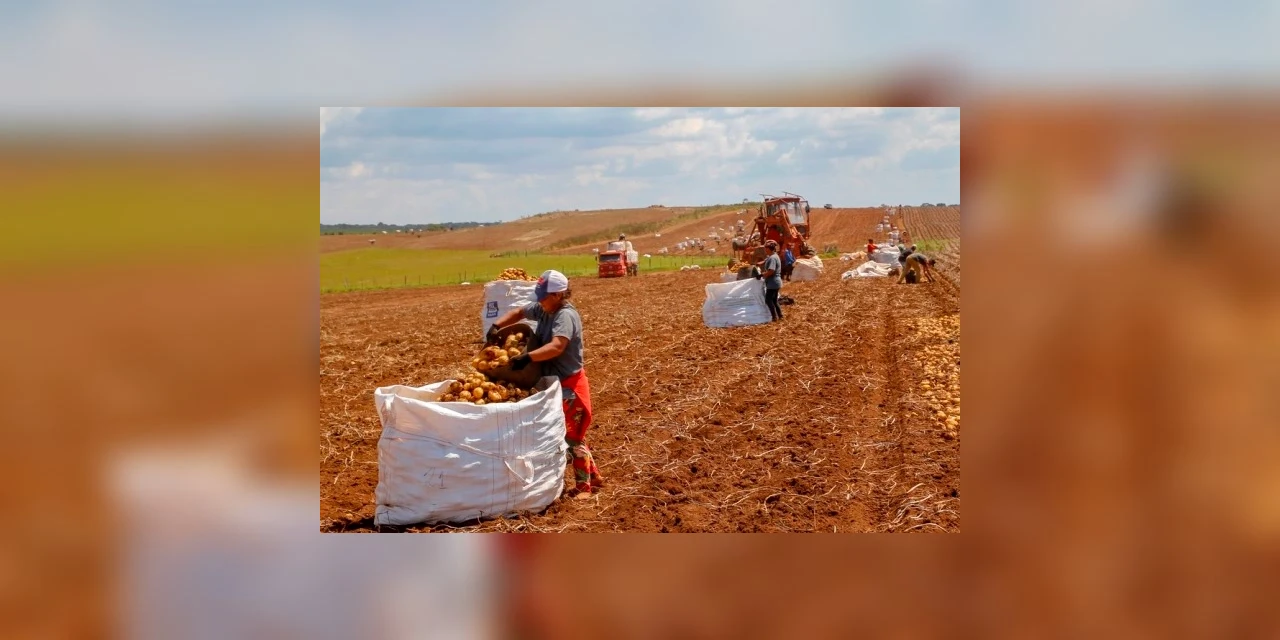 Cesta básica fica 1% mais cara em Ponta Grossa, aponta pesquisa da UEPG