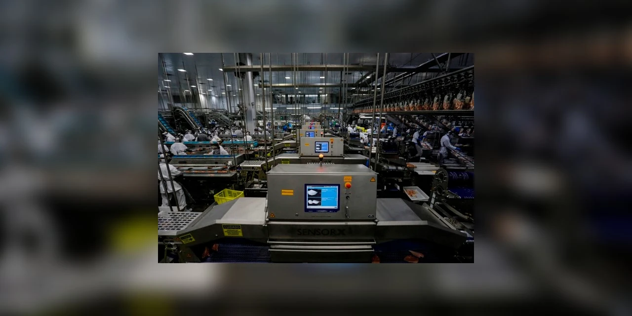 Crescimento da indústria de transformação faz Paraná superar países desenvolvidos