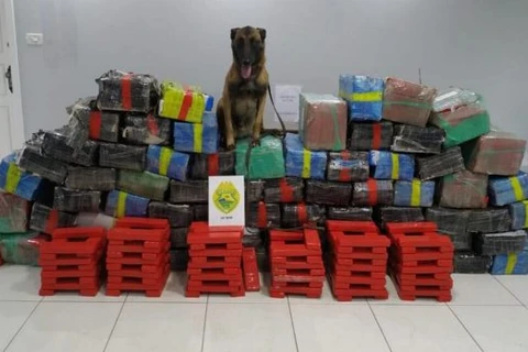 Cão de faro ajuda PM a encontrar mais de meia tonelada de maconha em carga de sucata