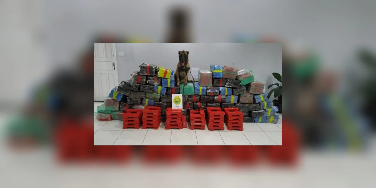 Cão de faro ajuda PM a encontrar mais de meia tonelada de maconha em carga de sucata