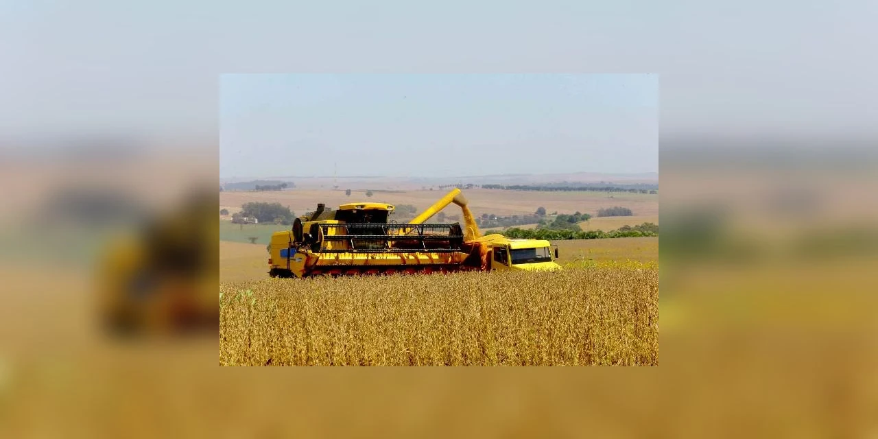Paraná deve produzir 25,5 milhões de toneladas de grãos na safra de verão