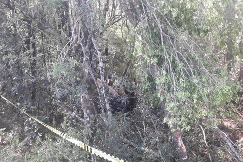 Capotamento faz uma vítima fatal em Imbituva