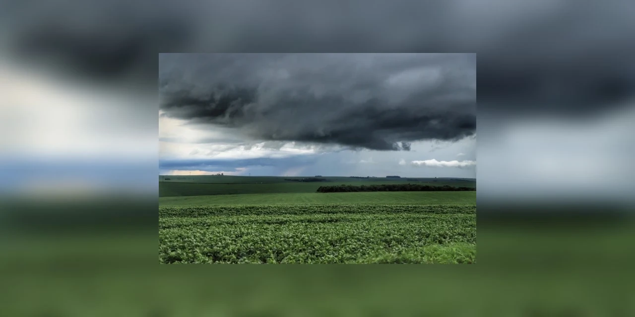 Chuvas retornam ao Estado e oferecem melhores condições de plantio, segundo boletim