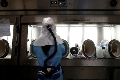 Paraná registra 1.718 novos casos e 49 óbitos em decorrência da Covid-19