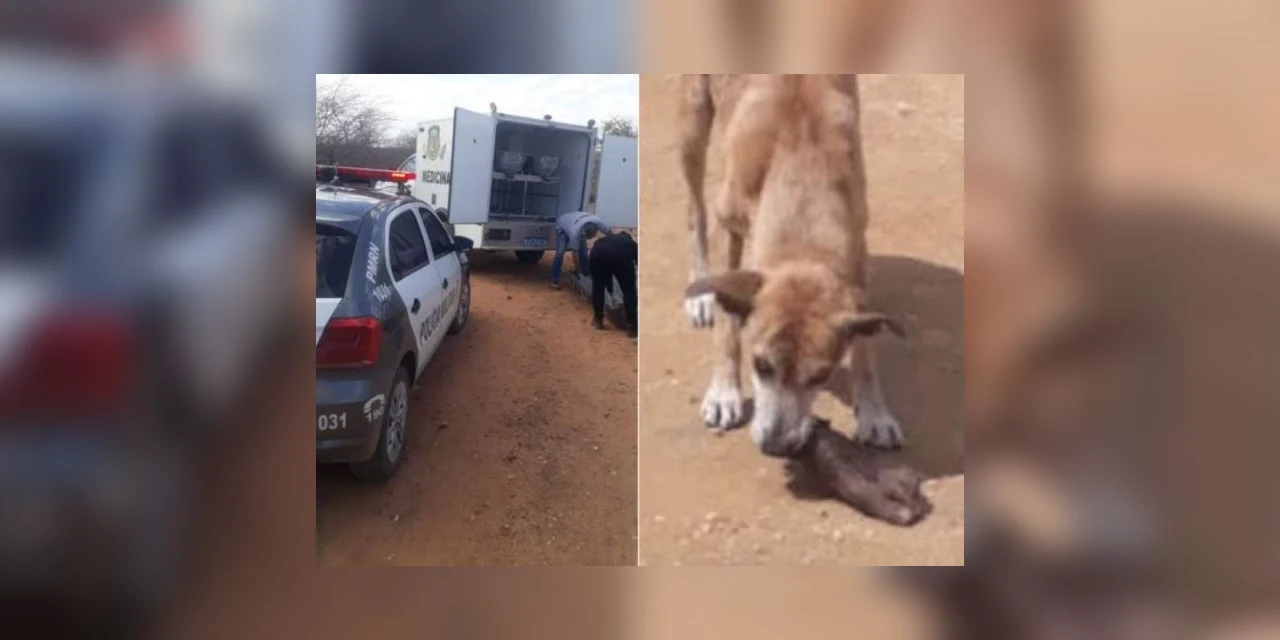 Cadáver sem o pé esquerdo é encontrado no RN e membro pode ter sido arrancado por cachorro