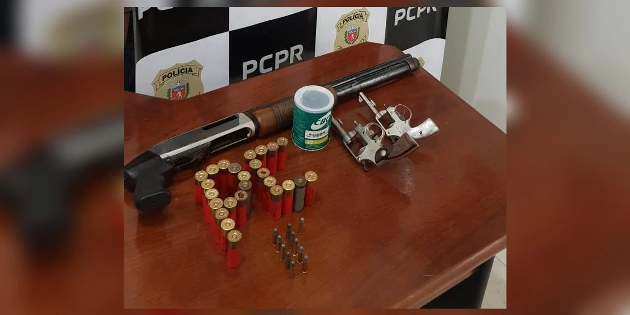 Policia Civil apreende armas e munições em Irati