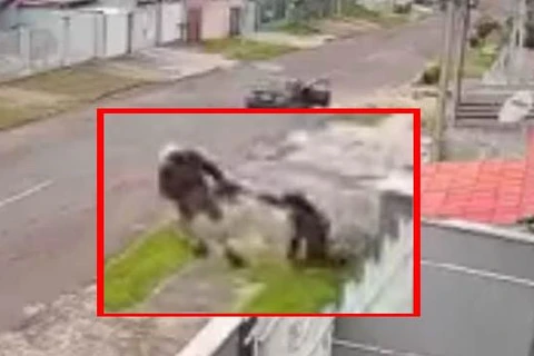 VÍDEO - Ladrão rouba e arrasta mulher pela calçada na RMC;