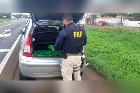 PRF apreende no Paraná mais de 1 tonelada de maconha no final de semana