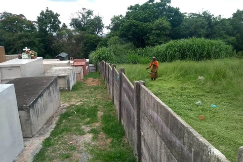 Finados: Definidos prazos para reforma e limpeza de túmulos