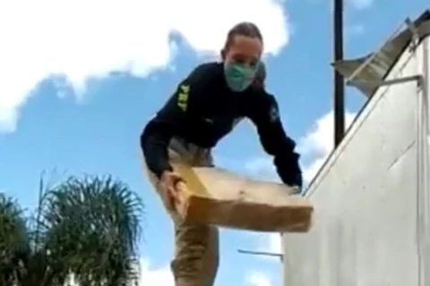 PRF apreende mais de uma tonelada de maconha na BR 277, em Porto Amazonas