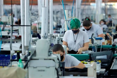 Com nove meses consecutivos de saldo positivo, Paraná chega a 168,5 mil empregos criados em 2021