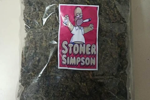 GM apreende “murruga do Homer Simpson” em Ponta Grossa