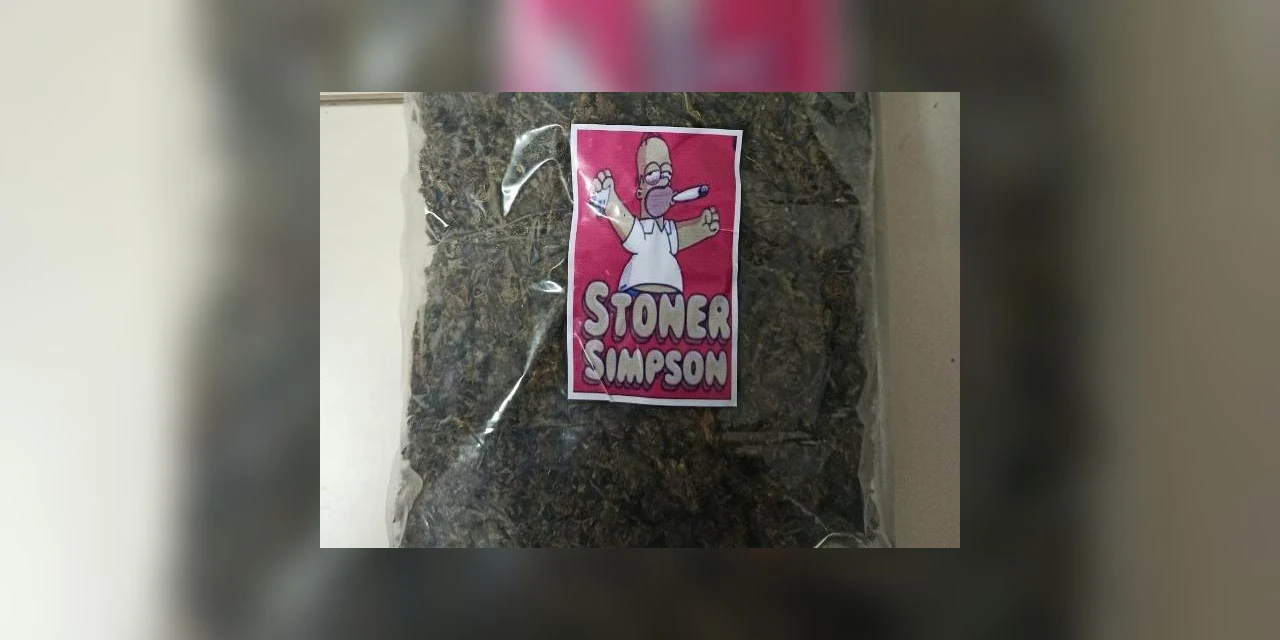 GM apreende “murruga do Homer Simpson” em Ponta Grossa