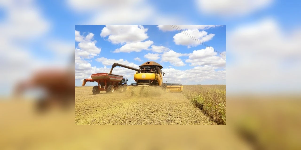 Paraná deve produzir 25,37 milhões de toneladas de grãos na safra de verão