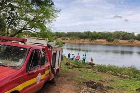 Homem pula em lago para fugir de abelhas e morre atacado por piranhas