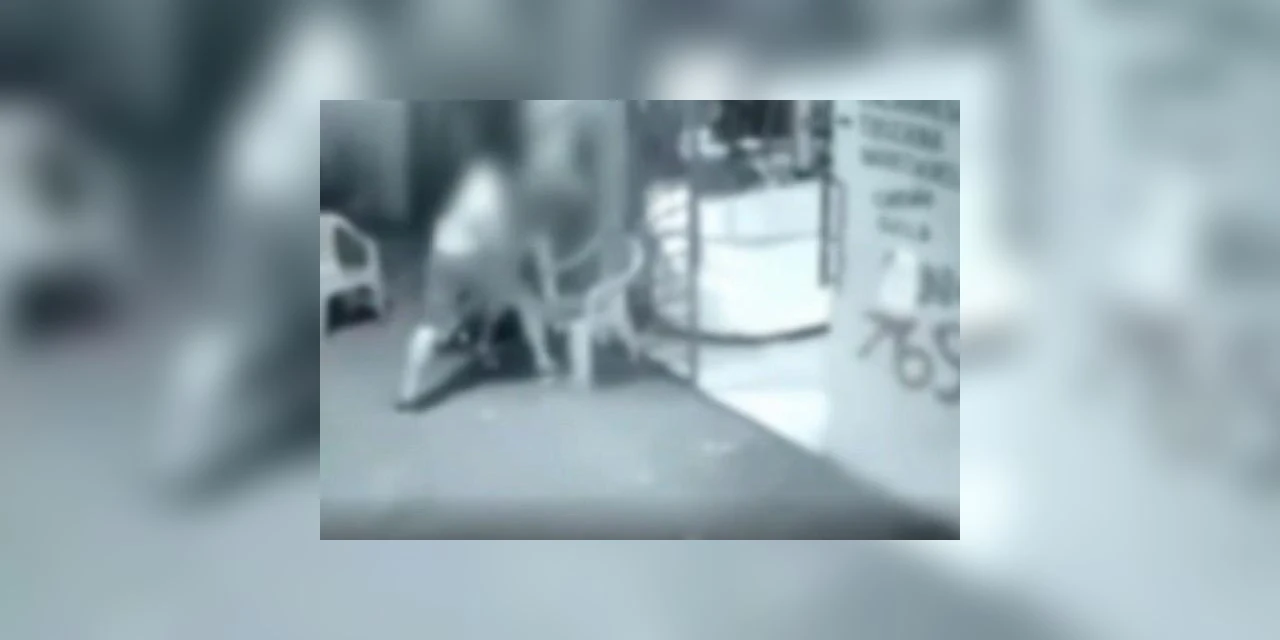 Vídeo - Pai nega emprestar carro e é espancado pelo filho no Pará