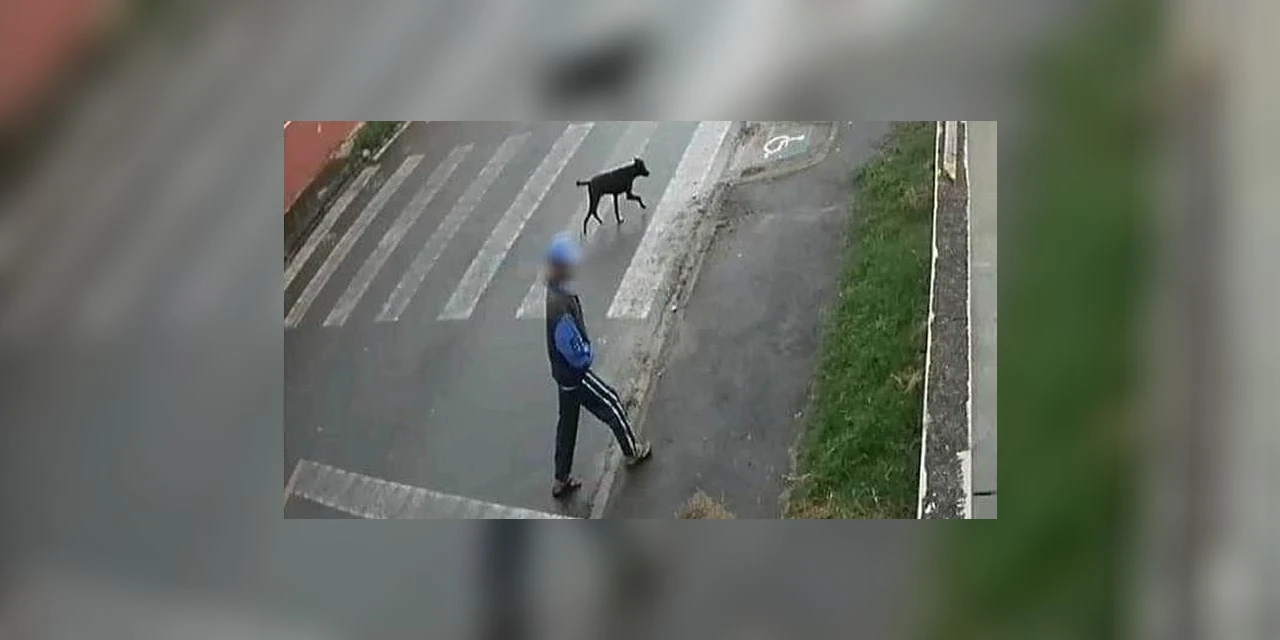 Polícia Civil procura homem flagrado abusando sexualmente de cachorro