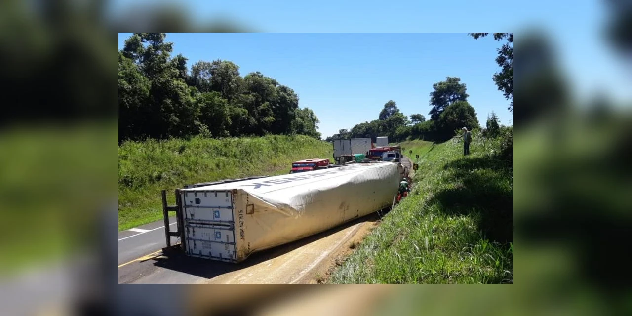 Caminhão carregado de carne tomba e seguranças entram em confronto com saqueadores em Palmeira