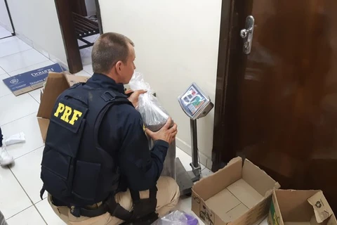 Perseguição termina em acidente e apreensão de quase 200 quilos de maconha em PG