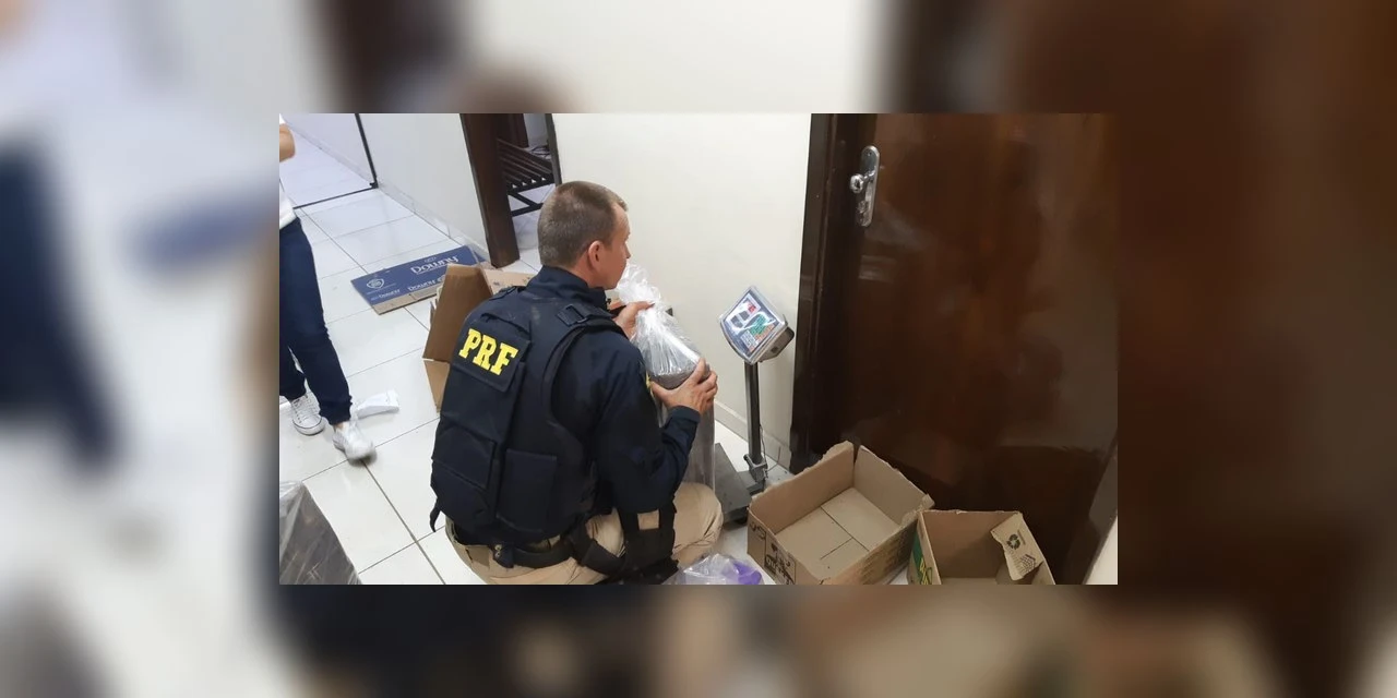 Perseguição termina em acidente e apreensão de quase 200 quilos de maconha em PG