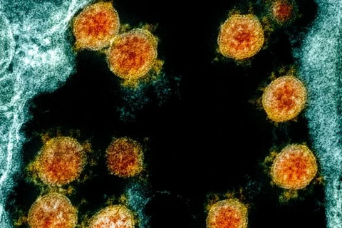 Rio Grande do Sul confirma caso de infecção pela variante Ômicron